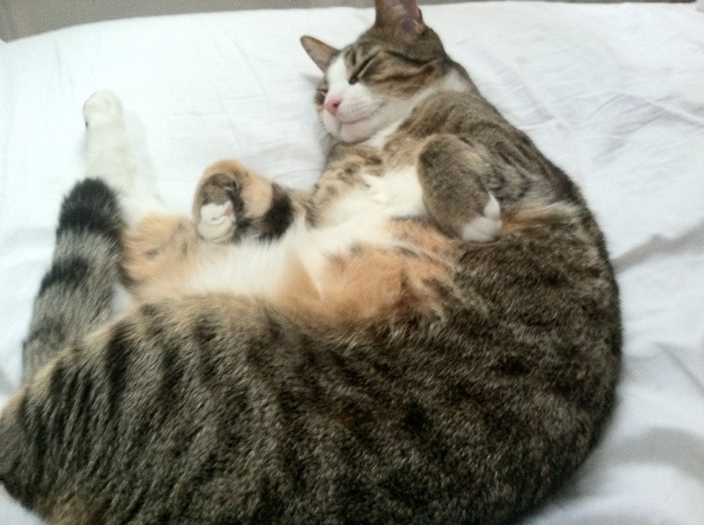 激烈对战：微小失误也可能决定胜负