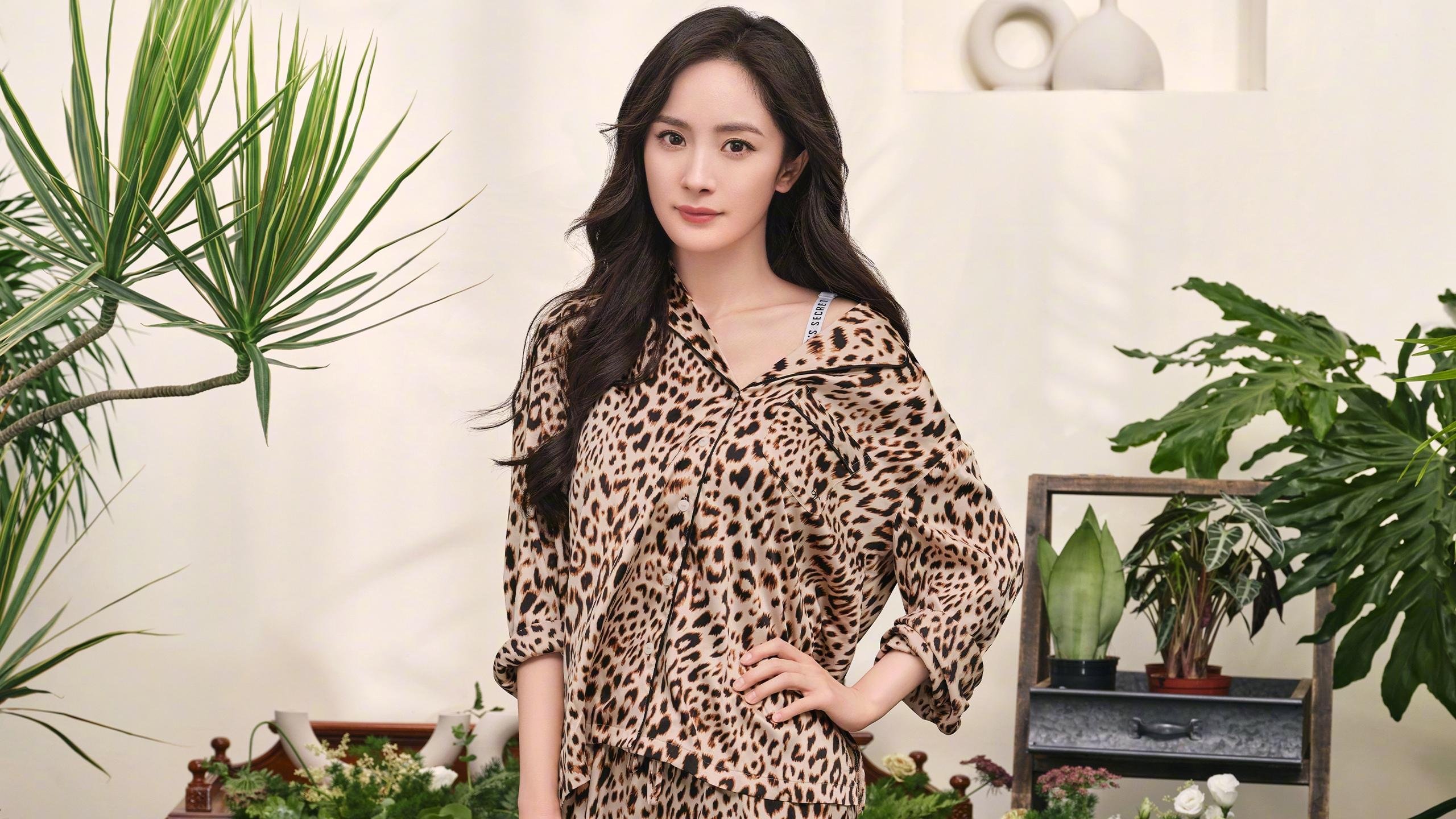 赛季末期，哪些球队跻身季后赛？，季后赛球队排名