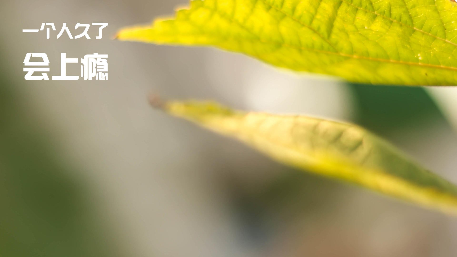 爱游戏直播-中超新星表现抢眼，获教练点赞，中超新队伍