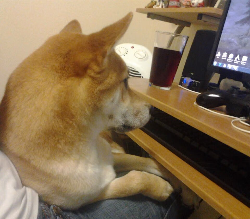 佳木斯市边策轮地区迎来大连一方的挑战，悬念丛生！，佳木斯边防支队位置