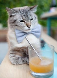 墨西哥球迷远赴芬兰，为冬奥足球喝彩，墨西哥踢足球