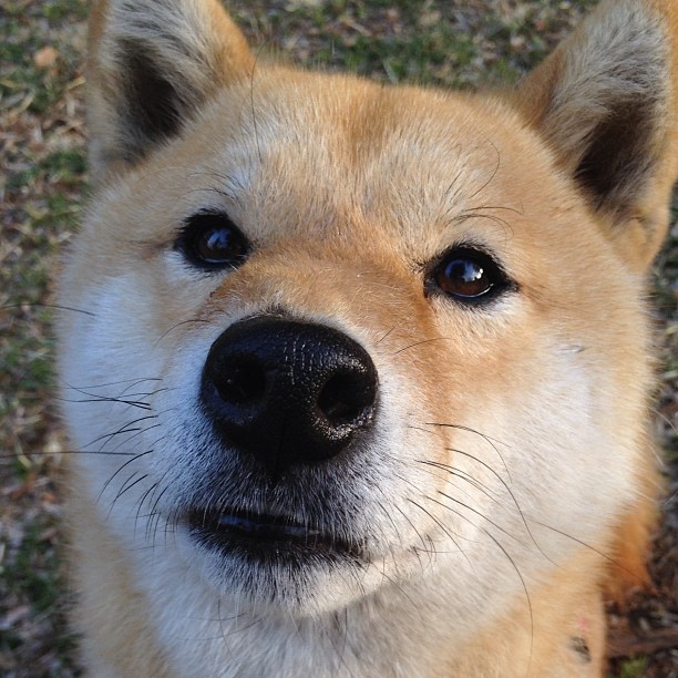 爱游戏娱乐平台-“2025世界运动会：短柄墙球成高新区全民健身馆亮点，选手们的脑力较量正在上演”